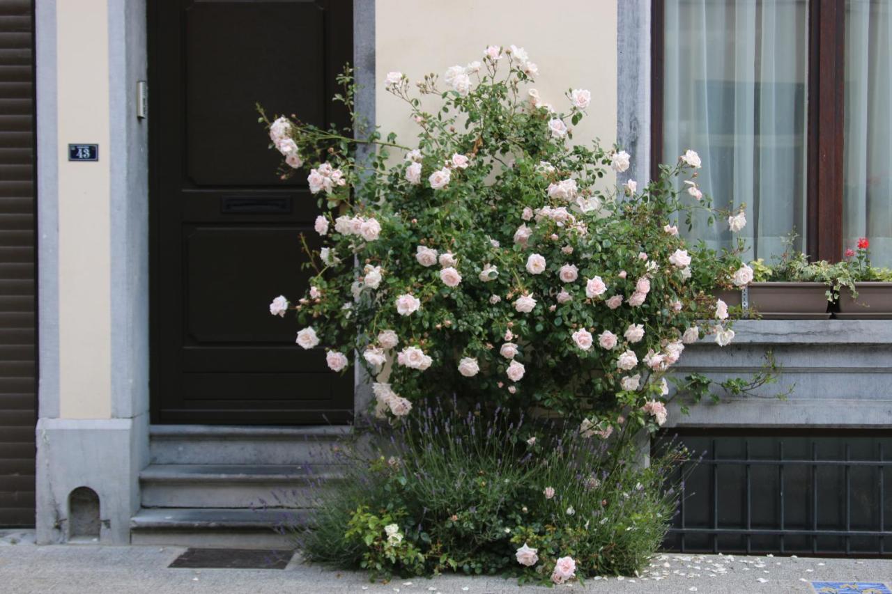 B&B Les Iris Brusel Exteriér fotografie